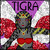 :icontigra-jhalavar: