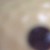 :icontigra42384: