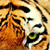 tigra6976 :icontigra6976: