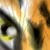 :icontigresa89: