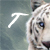 :icontigress-productions: