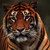 :icontigress1998: