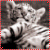 :icontigress86:
