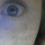 :icontigressofawesome: