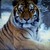 :icontigris98: