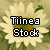 :icontiineastock: