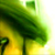 :icontiip: