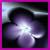 :icontikabs: