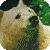 :icontikailtucana: