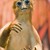 :icontikketo: