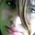 :icontilar: