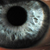 :icontiledz: