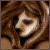 :icontillantria: