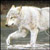 :icontillmorgen: