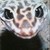 :icontillnarch:
