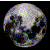 :icontilly-bean: