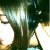:icontillylove: