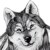 :icontim-berwolf:
