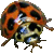 :icontimbaxter: