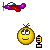 :icontimbear: