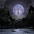 :icontimberwolfhq: