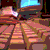 :icontimbles: