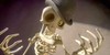 :icontimburton-fc: