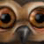 :icontimdev: