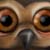 :icontimdev:
