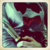 :icontime-ladyo: