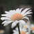 :icontime-photograpy: