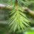 :icontime-unknown: