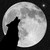 :icontimea425: