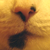 :icontimechaser: