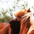 :icontimeflys-studios: