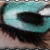 :icontimeforchanges:
