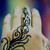 :icontimeless-treasures: