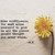 :icontimelessaddiction: