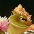 :icontimepond: