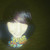 :icontimetodie79: