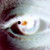 :icontimfranklin: