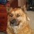 :icontimg555: