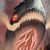 :icontimhedlund: