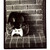:icontimidgiant: