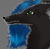 :icontimilawolfen: