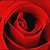 :icontimmie-the-legend: