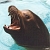 :icontimmythesealion: