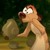 :icontimonbarfplz: