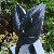:icontimothy-long: