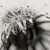 :icontimothycappphoto: